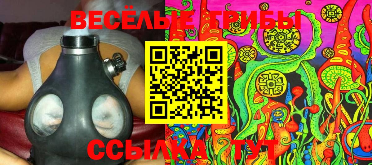 Псилоцибиновые грибы GOLDEN TEACHER Домодедово
