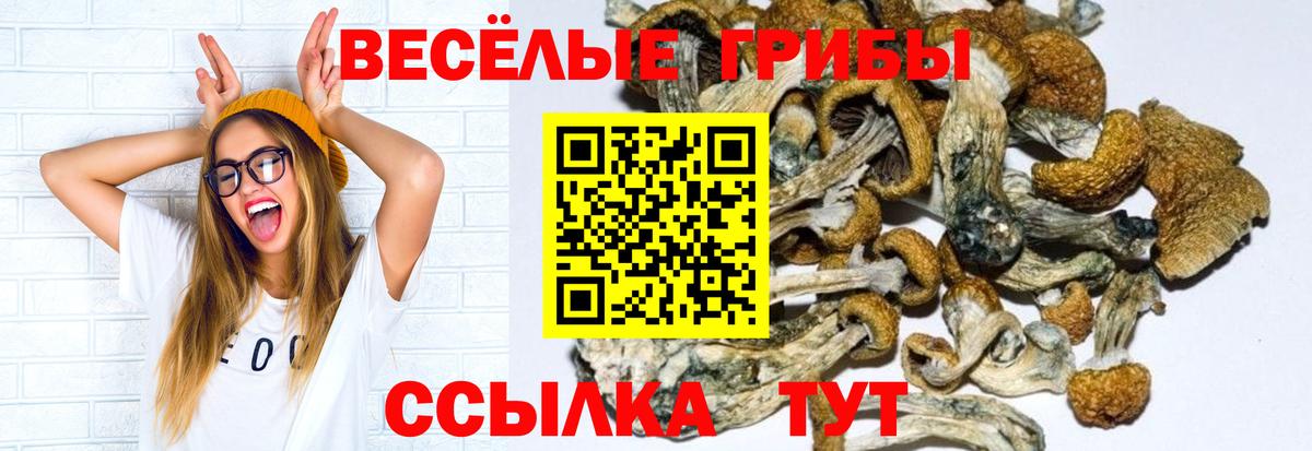 Псилоцибиновые грибы мицелий  Вход с VPN  Домодедово 
